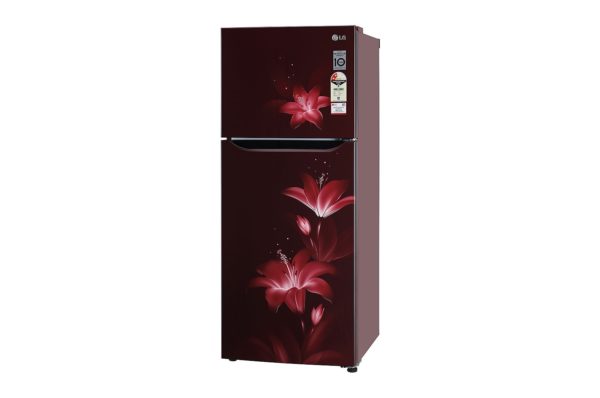 260 Litres Frost Free Refrigerator With Smart Inverter Compressor, Multi Air Flow, LED Lighting, MOIST ‘N’ FRESH - Image 4